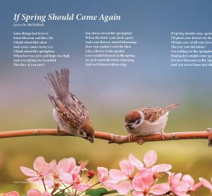 If Spring Should Come Again - Song by Hal Pollock
