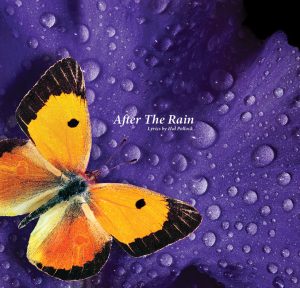 After The Rain - Song by Hal Pollock