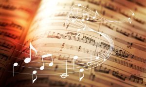 Don't Die With Your Music Still In You - Song by Hal Pollock