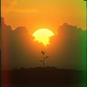 Have A Little Faith - Song by Hal Pollock