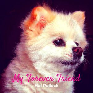 My Forever Friend - Song by Hal Pollock
